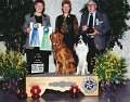 2 HIGH COMBINED - CH OTCH Tystar Easy Does It UDX TD - Border Collie
