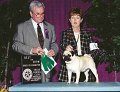 B-0 BEST IN SHOW - BRED BY EXHIBITOR - Ivanwold Katarina - Pug