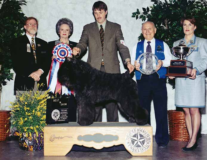 0 BEST IN SHOW - CH Terra's Too Hot To Handle - Bouvier des Flandre.jpg - BEST IN SHOW - CH Terra's Too Hot To Handle - Bouvier des Flandre