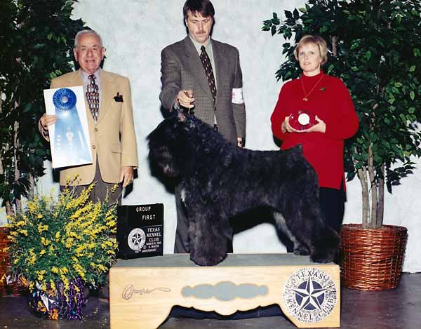 9 HERDING - CH Terra's Too Hot To Handle - Bouvier des Flandre.jpg -  HERDING - CH Terra's Too Hot To Handle - Bouvier des Flandre