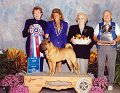 0 BEST IN SHOW - CH Elite's It's Only Make Believe - Chinese Shar-Pei