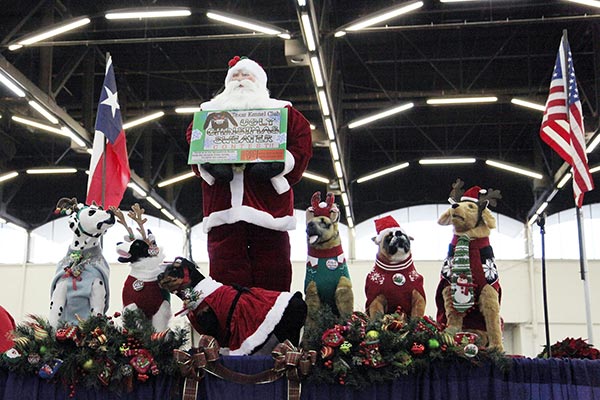 11.jpg - WELCOME TO THE TEXAS KENNEL CLUB WINTER SHOW.
